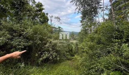 Área de 22 hectares