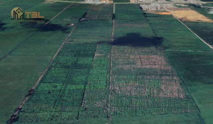 Terreno à venda, ÁREA INDUSTRIAL -  680.000 m² - Volta Grande - Navegantes/SC