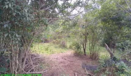 Chácara / sítio à venda na Estrada Geral Macega/Maratá, s/n, Macega, Maratá, 50600 m2 por R$ 230.000
