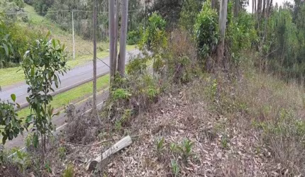 Terreno à venda - no Centro