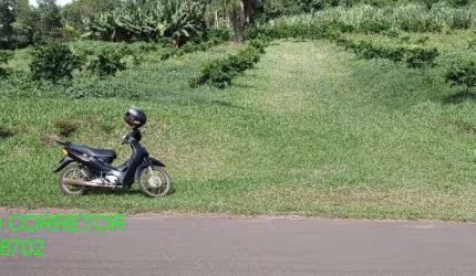 Chácara / sítio à venda na Rodovia Transitrus, s/n, Linha Pinheiro Machado, Brochier por R$ 240.000