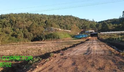 Chácara / sítio com 5 quartos à venda na Estrada Vapor Velho, s/n, Costa da Serra, Montenegro, 2380 m2 por R$ 1.280.000