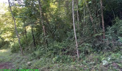 Chácara / sítio à venda na Estrada Marata/Brochier, s/n, Zona Rural, Maratá por R$ 205.000