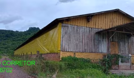 Chácara / sítio à venda na Rodovia Transitrus, 1001, Linha Pinheiro Machado, Brochier, 900 m2 por R$ 750.000