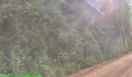 Chácara / sítio à venda na Estrada Geral Porto Pedreira, s/n, Porto Pedreira, Triunfo, 100000 m2 por R$ 330.000