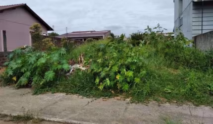 Terreno à venda - em Olaria