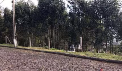 Terreno à venda - no Centro