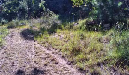 Rurais à venda - no Centro