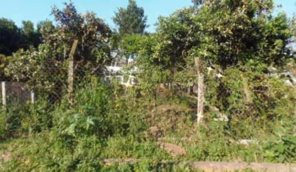 Rurais à venda - no Centro