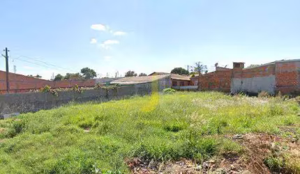LOTE INTEIRO REGIÃO SUL