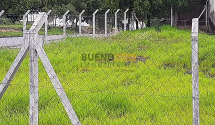 Terreno para alugar, 389 m² por R$ 984,00/mês - Jardim São Domingos - Americana/SP