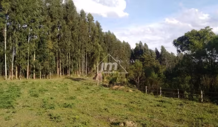 Chácara à venda em Sete Salto de Baixo - Três Córregos/PR