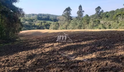 Chácara a venda no Bairro Colônia Balbino Cunha - em Campo Largo/PR