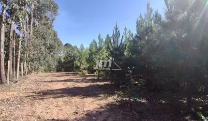 Chácara à venda no Bairro Guabiroba - Campo Largo/Pr
