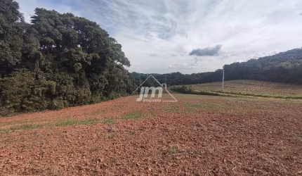 Chácara a venda no Bairro Colônia Cristina - em Araucária/PR
