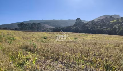 Chácara à venda no Bairro Bugre - em Balsa Nova/PR