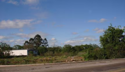 Terreno - Santa Maria RS