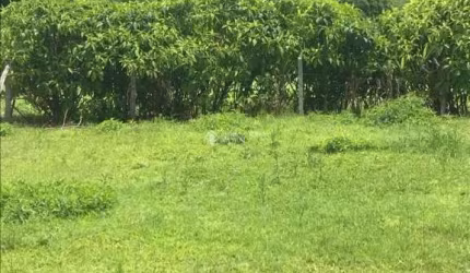 Terreno à venda na Santa Catarina, 126, 655, Centro, Paulo Lopes, 571 m2 por R$ 185.000