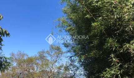 Terreno à venda na Das Tartarugas, 1313, Capão, Garopaba, 426 m2 por R$ 450.000