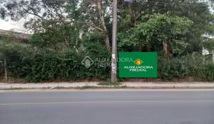 Terreno à venda na Vereador Laudelino Antonio Teixeira, 525, Grama, Garopaba, 5775 m2 por R$ 2.438.000