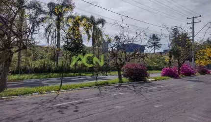 Área de 7.688,00m² no bairro Operário em Novo Hamburgo