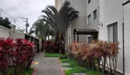 Apartamento em Palmeiras de São José