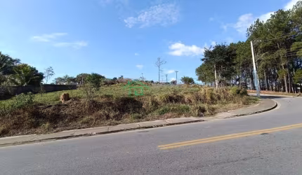 Terreno em Cajuru