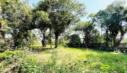 Lote / Terreno em Gaivotas  -  Matinhos