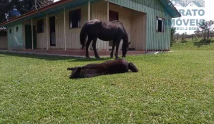 em Esplanada  -  Lapa