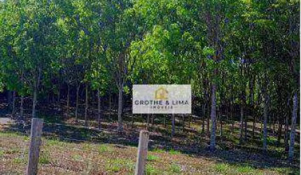 Excelente oportunidade! Fazenda à venda na região do município de Montividiu-GO.