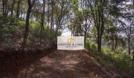 Terreno à venda, 6000 m² por R$ 260.000,00 - Costinha - São José dos Campos/SP