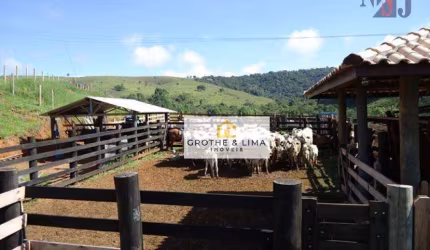 Fazenda com 1 dormitório à venda, 968000 m² por R$ 4.000.000,00 - Rural - Lagoinha/SP