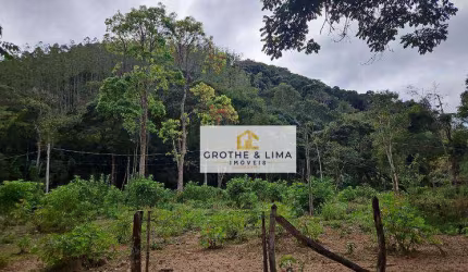 Fazenda  de eucaliptos  com 144 hectares , e com renda  à venda de porteira fechada próximo ao município de Taubaté-SP
