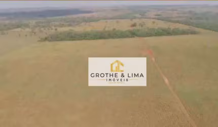 Fazenda com 130 hectares à venda na região do município de Nova Alvorada do Sul /MS