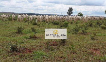Fazenda com  3.625 hectares para pecúaria à venda na região do município de Nova Andriana-MS.