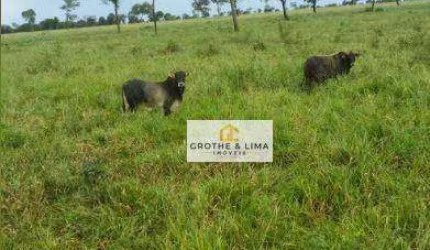 Fazenda com 1.005 hectares à venda na região do município de Campo Grande/MS.
