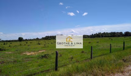**Fazenda em Cocalinho, MT - Oportunidade Incrível para Pecuária e Agricultura**