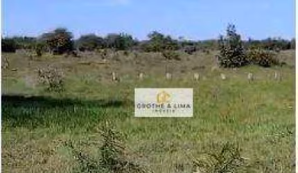 Fazenda para Pecuária em Cocalinho, MT - Oportunidade Única em um Cenário Rural Espetacular