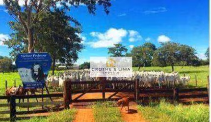 **Fazenda à Venda em Cocalinho, MT - Oportunidade de Pecuária de Alto Nível**