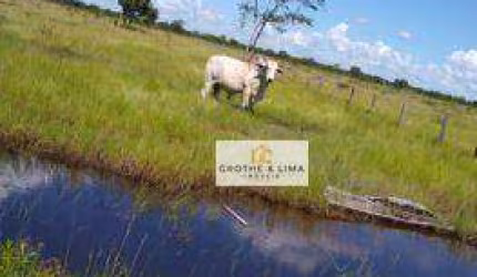**Fazenda Espetacular de 2.637,80 Hectares em Cocalinho, MT - Uma Oportunidade Única no Campo**
