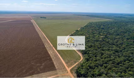 Fazenda à venda, 5000 hectares  por R$ 216.000.000 - Zona Rural - Nova Maringá/MT