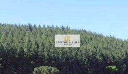 Área à venda, 950 alqueires por R$ 50.000.000 - Chapada - Ponta Grossa/PR