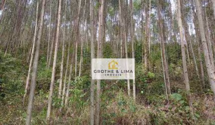 Área à venda, 108900 m² por R$ 440.000 - Cedro - Paraibuna/SP