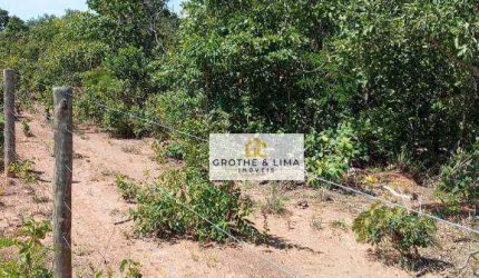 Fazenda com 107 alqueires Goiano à venda no município de Sucupira/TO.