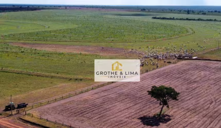 Vendo Fazenda à venda na região do município de Nova Mutum/MT