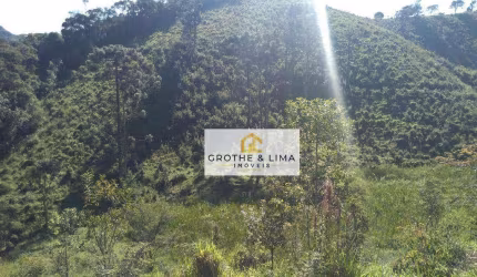 Terreno à venda, 20000 m² por R$ 440.000,00 - Zona Rural - Santo Antônio do Pinhal/SP
