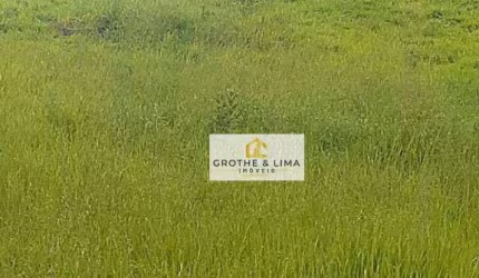 Área, 9800 m² - venda por R$ 9.800.000,00 ou aluguel por R$ 35.000,00/mês - Putim - São José dos Campos/SP