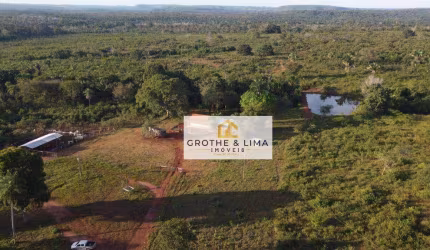 Vendo fazenda com  130 alqueires dupla aptidão com 50 alqueires em pastos sujos a 47 km de Araguaína/TO.