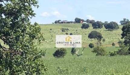 Fazenda com 365 alqueires formado à venda na região de  Água Clara/MS.