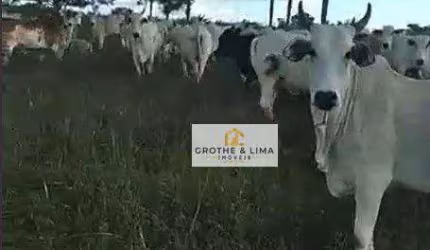 Fazenda à venda, 5130400 m² por R$ 10.600.000 - Dirceu Arcoverde - Parnaíba/PI
